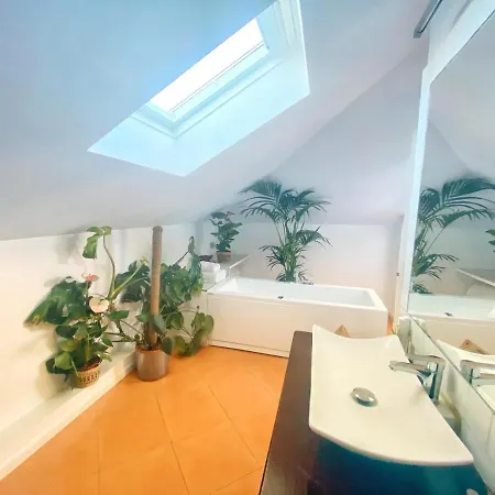 Pensión Molo 44 Puerto Banús Marbella