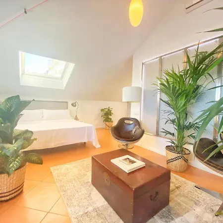 Molo 44 Puerto Banus Guest house