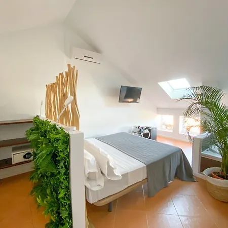 Molo 44 Puerto Banús Pensión 4*