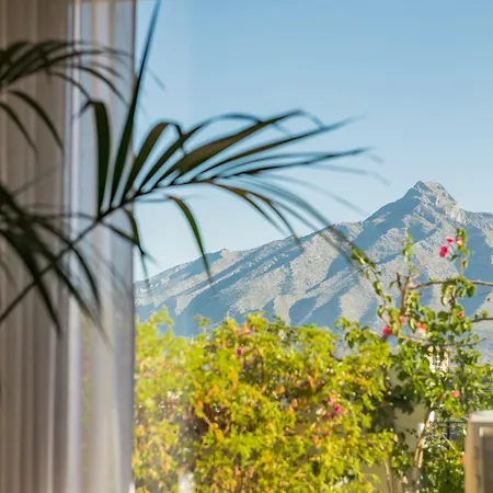 Pensión Molo 44 Puerto Banús Marbella