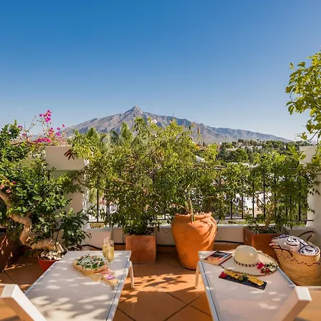 Molo 44 Puerto Banus