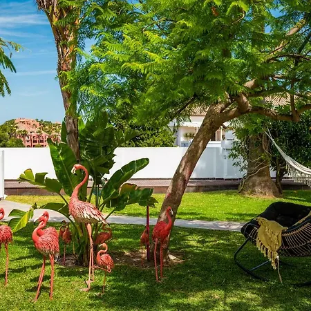 Guest house Molo 44 Puerto Banus 4*