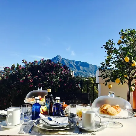 Molo 44 Puerto Banús 4* Marbella