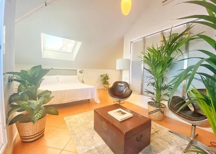 Molo 44 Puerto Banus Konukevi