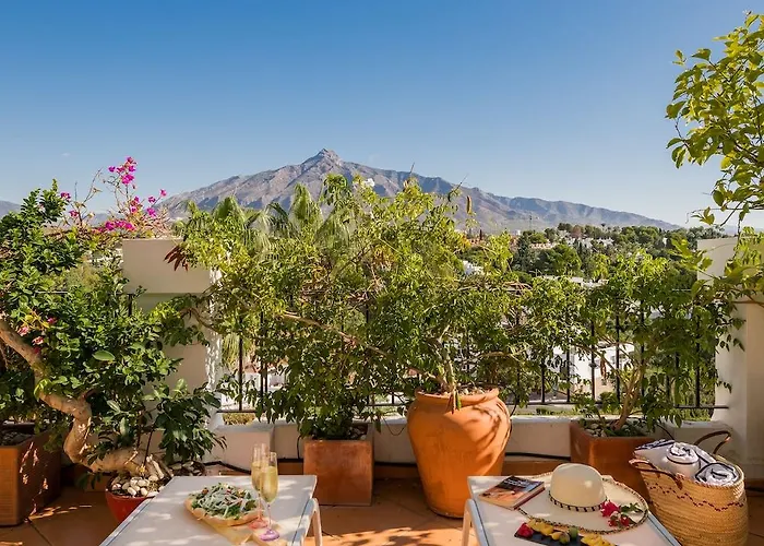 Molo 44 Puerto Banus