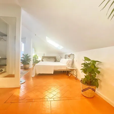 Molo 44 Puerto Banús 4* Marbella