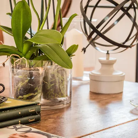 Molo 44 Puerto Banús Marbella