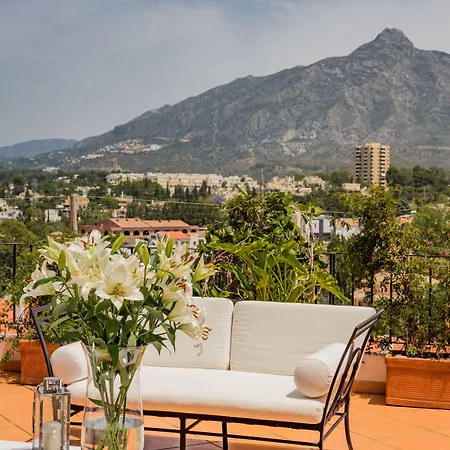 Pensión Molo 44 Puerto Banús Marbella