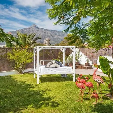 Pensión Molo 44 Puerto Banús Marbella